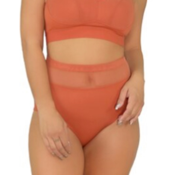 5 Pair Bundle - Rhonda Shear Mesh Insert High Waist Briefs - Picture 2 of 8